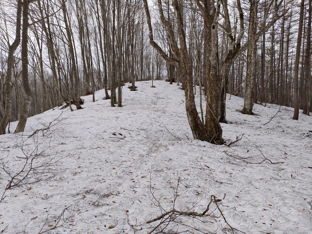 白馬岩岳　信濃路 自然歩道 岩岳ルートの写真21