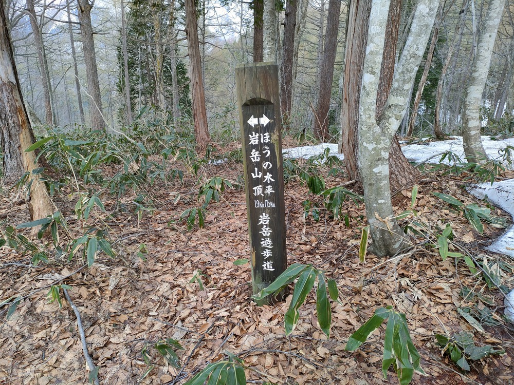 白馬岩岳　信濃路 自然歩道 岩岳ルートの写真23
