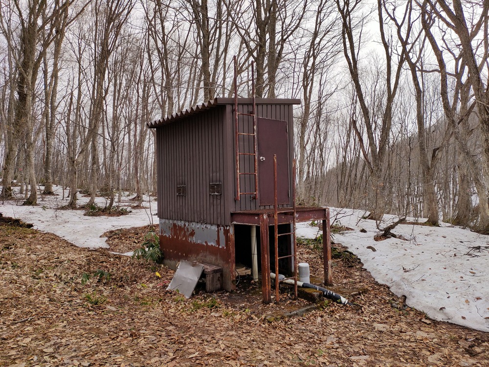 白馬岩岳　信濃路 自然歩道 岩岳ルートの写真25