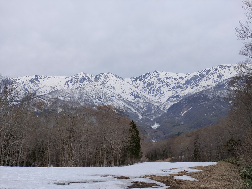 白馬岩岳　信濃路 自然歩道 岩岳ルートの写真27