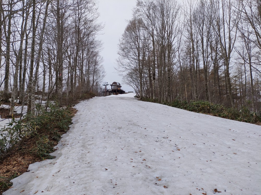 白馬岩岳　信濃路 自然歩道 岩岳ルートの写真28