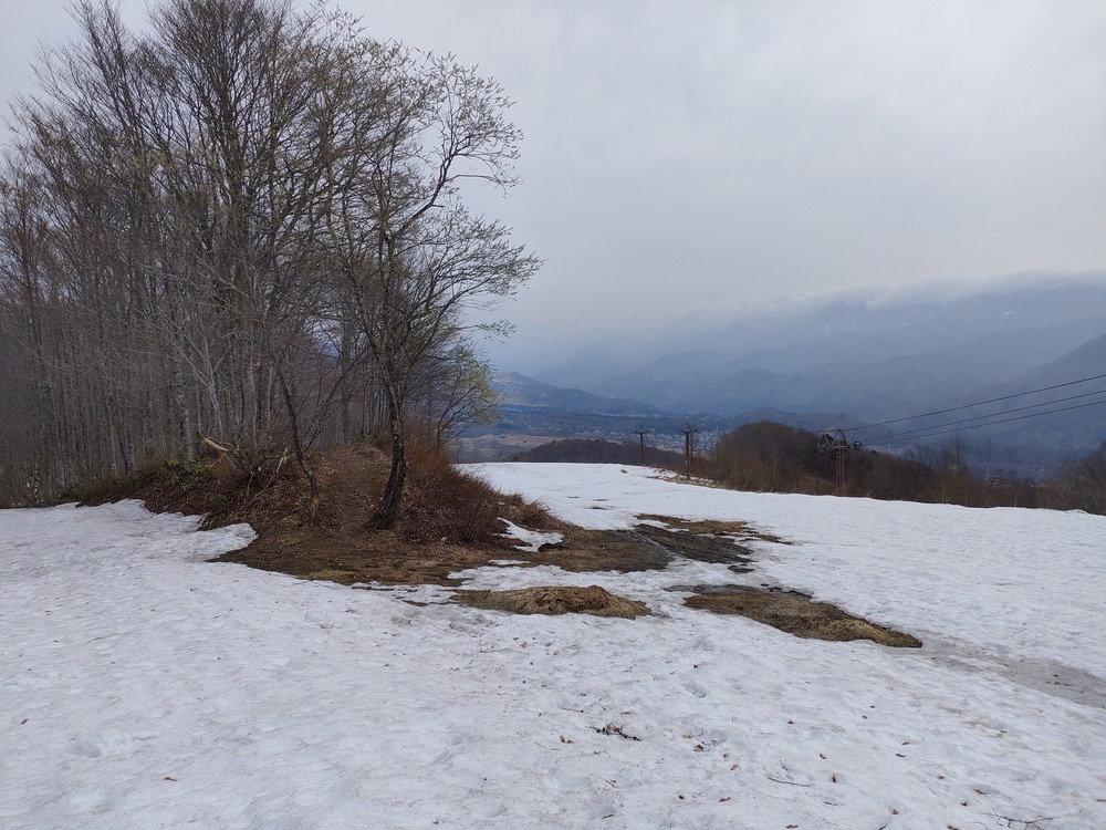 白馬岩岳　信濃路 自然歩道 岩岳ルートの写真29
