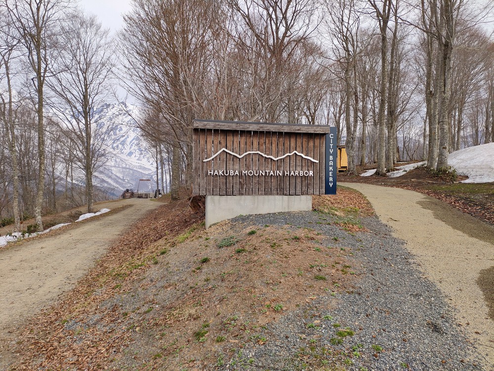 白馬岩岳　信濃路 自然歩道 岩岳ルートの写真31