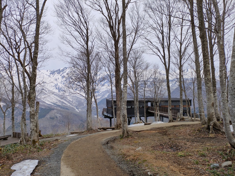 白馬岩岳　信濃路 自然歩道 岩岳ルートの写真32