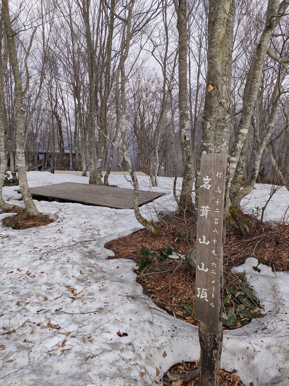 白馬岩岳　信濃路 自然歩道 岩岳ルートの写真36