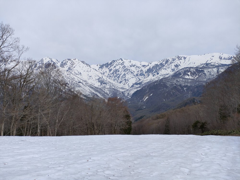 白馬岩岳　信濃路 自然歩道 岩岳ルートの写真37