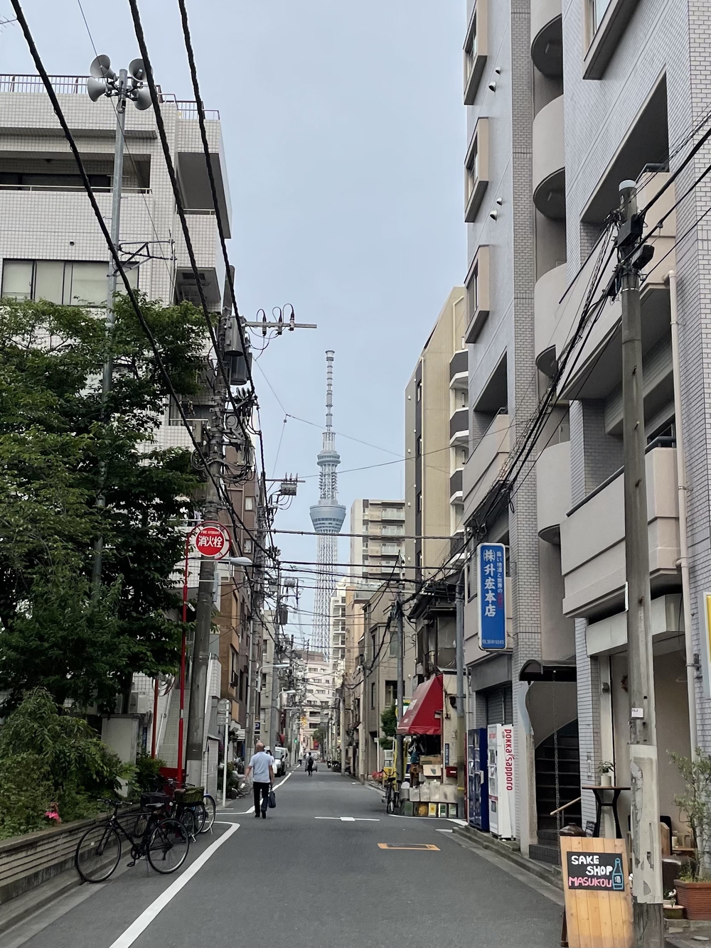 歌川広重と共にRUN 柳橋の写真3