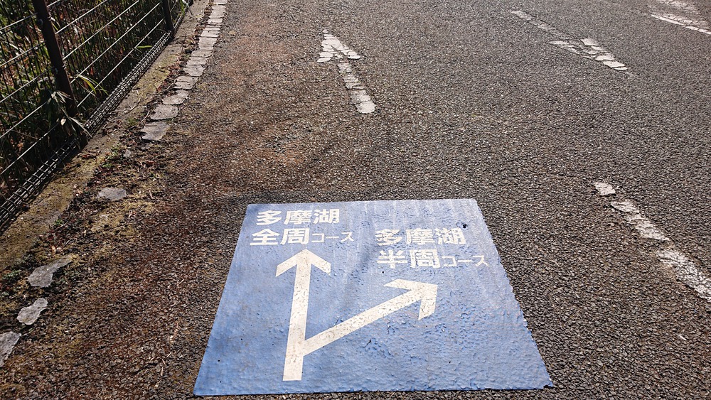 ほど良いアップダウンの多摩湖一周ラン、11.6kmの写真3