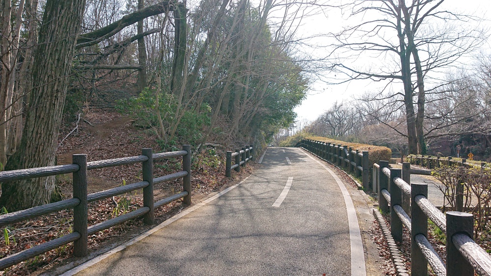 ほど良いアップダウンの多摩湖一周ラン、11.6kmの写真5