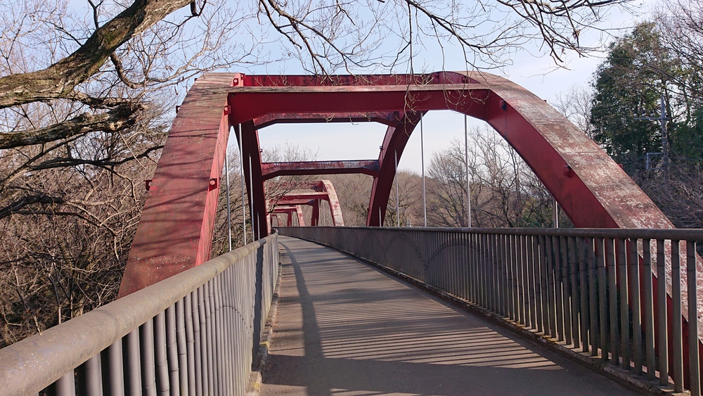 ほど良いアップダウンの多摩湖一周ラン、11.6kmの写真6