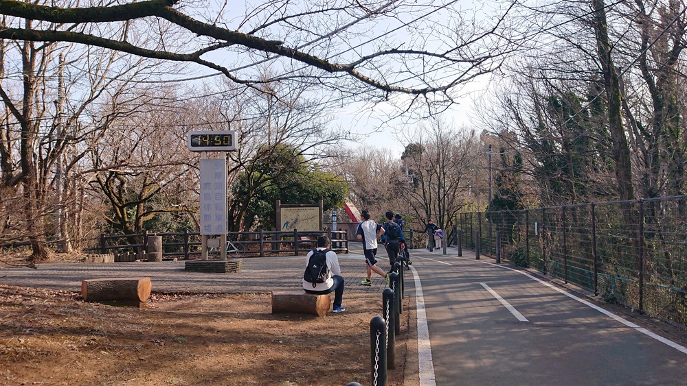 ほど良いアップダウンの多摩湖一周ラン、11.6kmの写真7