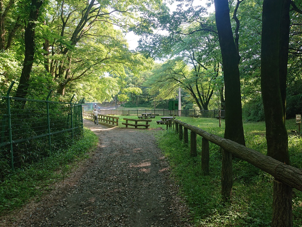 新緑の木陰の中を～狭山湖一周ラン、14kmの写真4