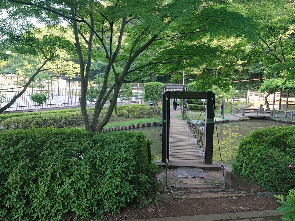 新緑の木陰の中を～狭山湖一周ラン、14kmの写真7