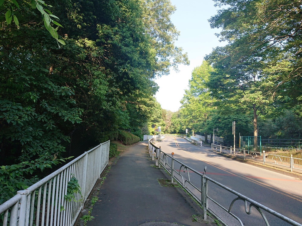 新緑の木陰の中を～狭山湖一周ラン、14kmの写真8