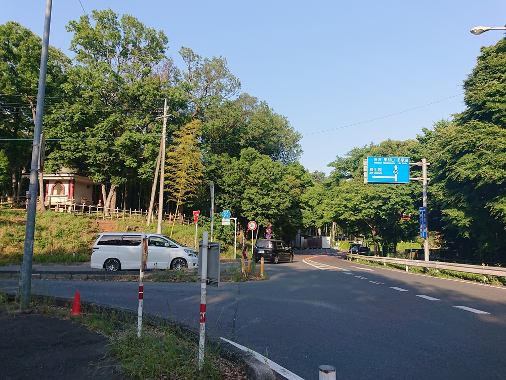 新緑の木陰の中を～狭山湖一周ラン、14kmの写真9