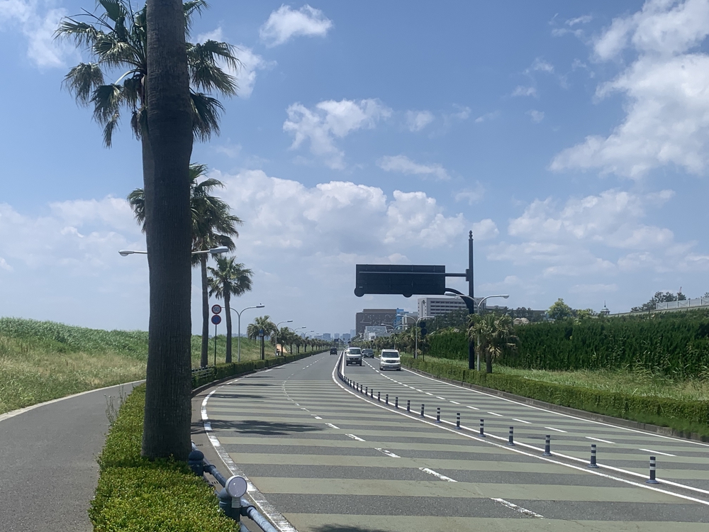 気持ちよくディズニーリゾート満喫RUNの写真3