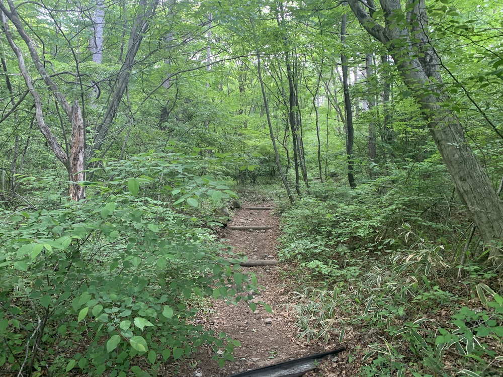 八ヶ岳山麓スーパートレイル No.8 飯盛山の写真7