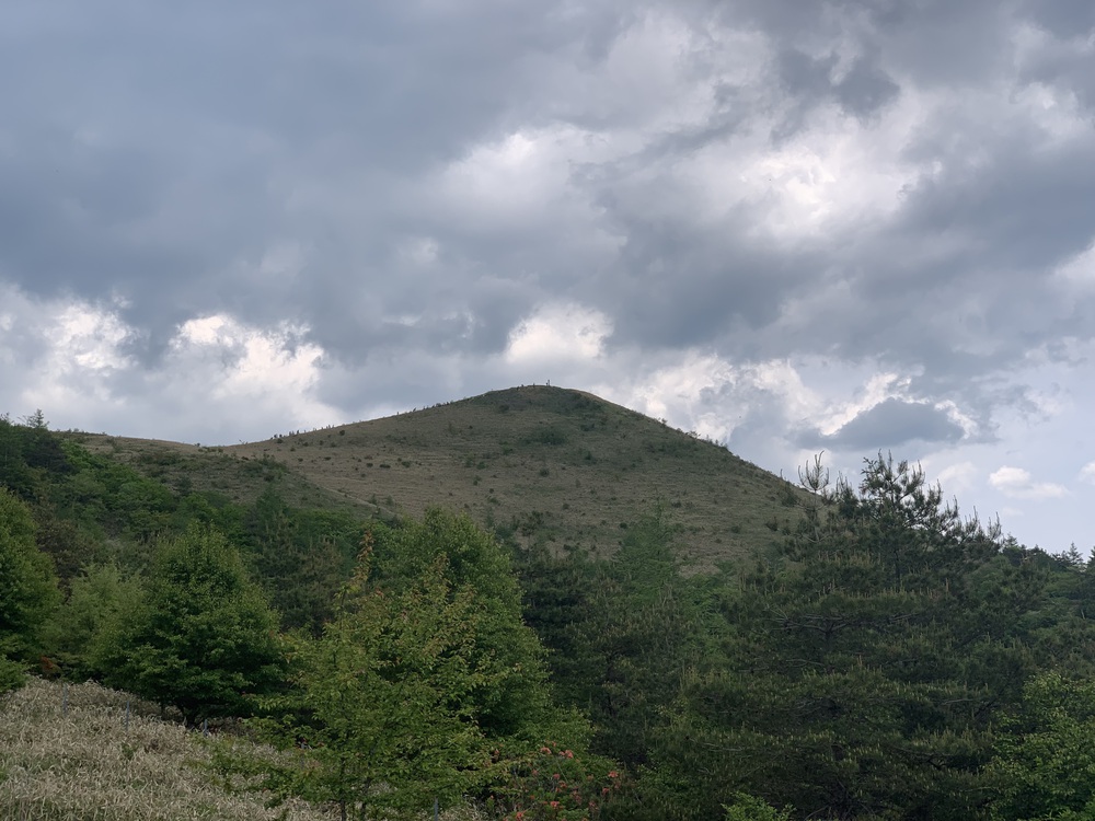 八ヶ岳山麓スーパートレイル No.8 飯盛山の写真9