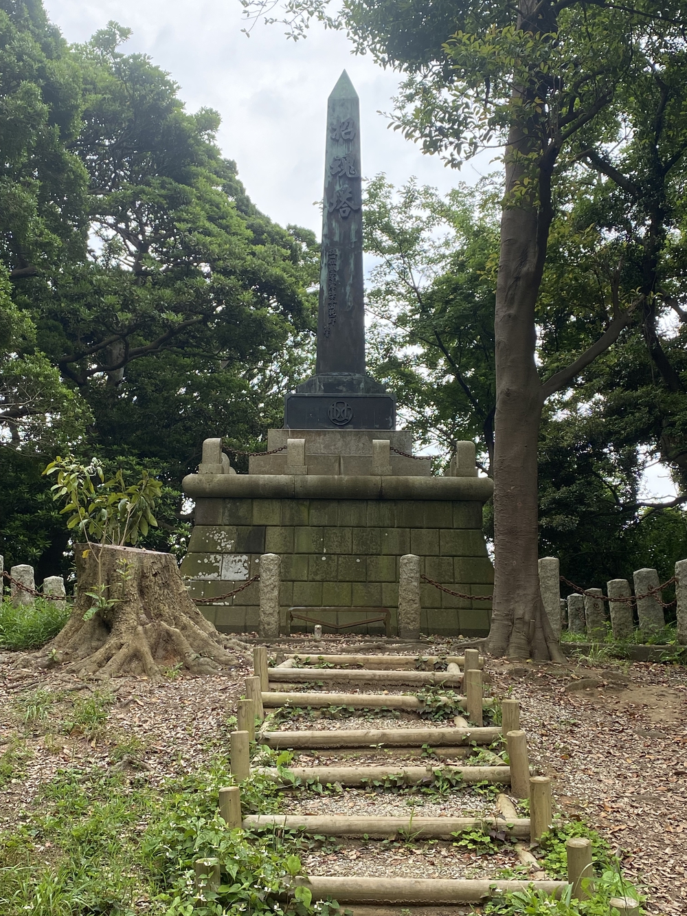 横須賀見所満載ラン（浦賀〜馬堀海岸）の写真13
