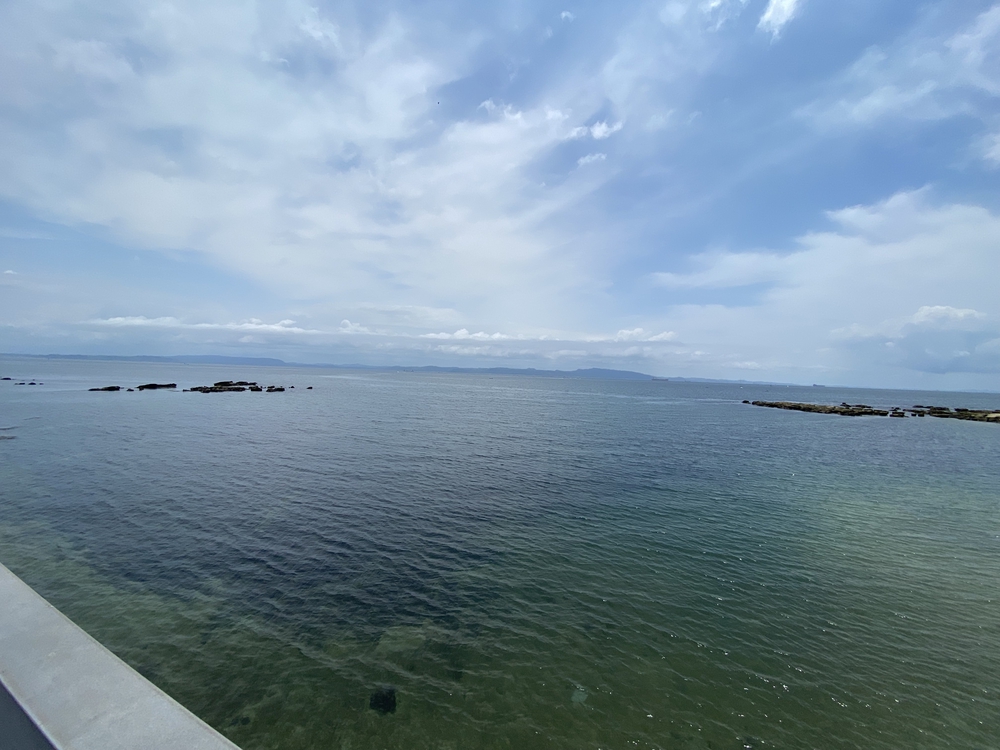 横須賀見所満載ラン（浦賀〜馬堀海岸）の写真15