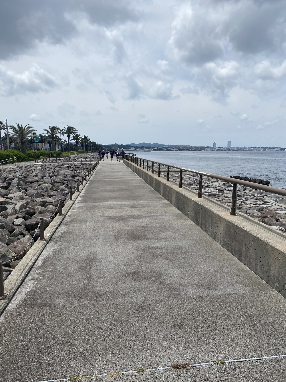 横須賀見所満載ラン（浦賀〜馬堀海岸）の写真28