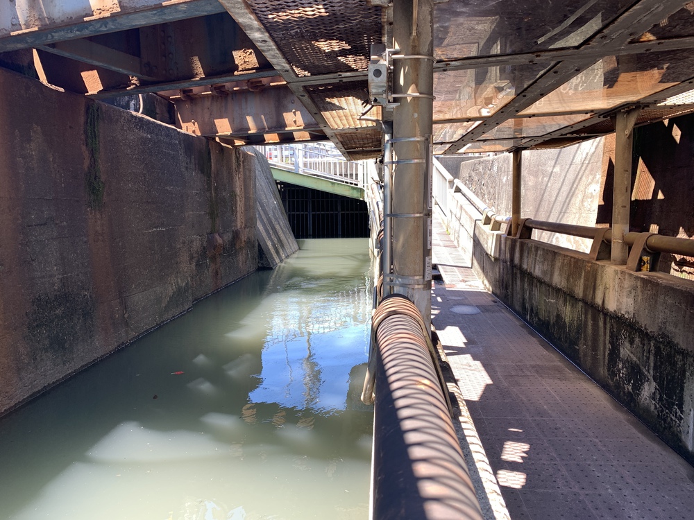 名古屋：暗渠ジョグ／幻の八事川を走破し大江川河口～大同排水路への写真12