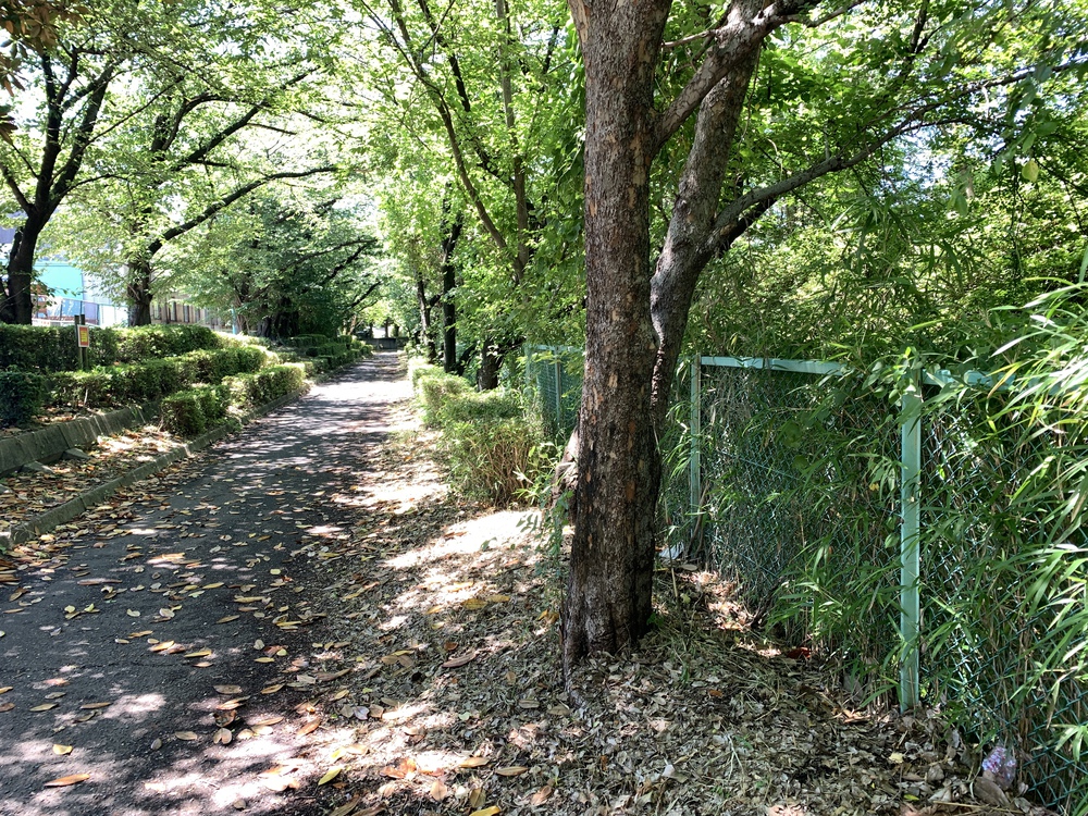 名古屋：暗渠ジョグ／幻の八事川を走破し大江川河口～大同排水路への写真16
