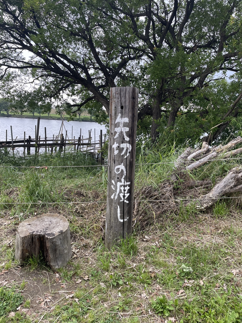 歌川広重と共にRUN 葛飾柴又の写真10