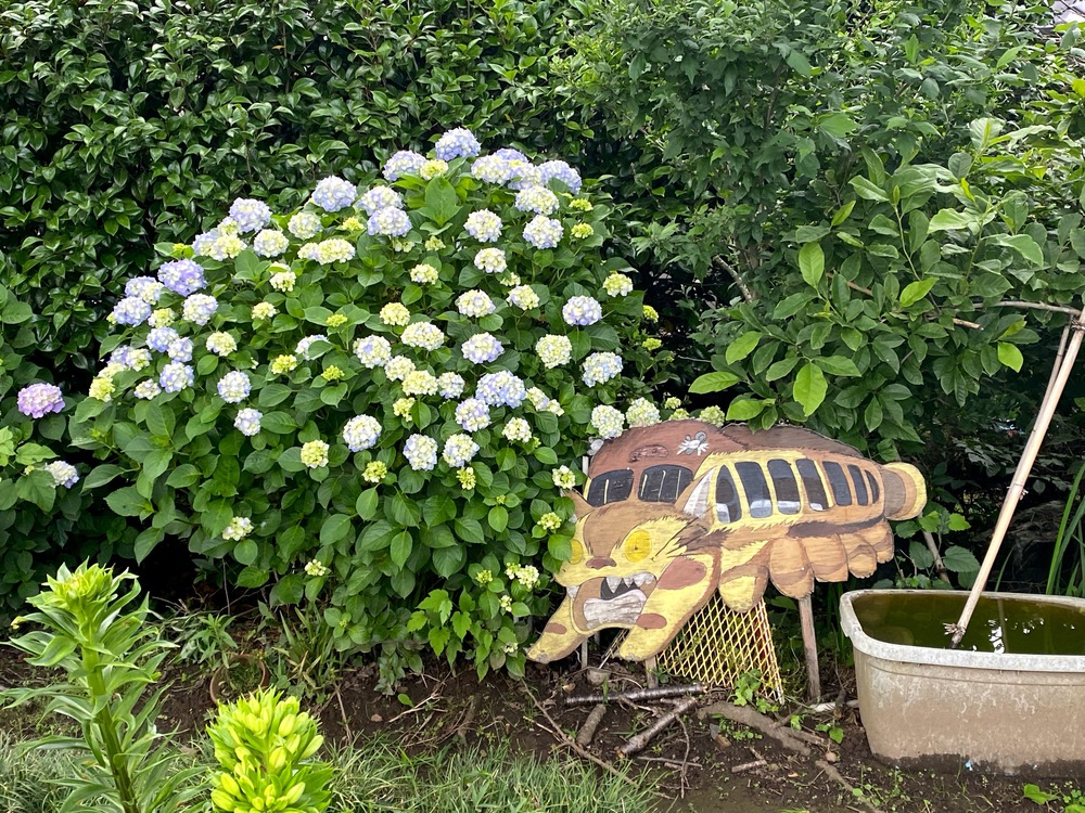 水郷土浦、トトロ探して水辺ランの写真3