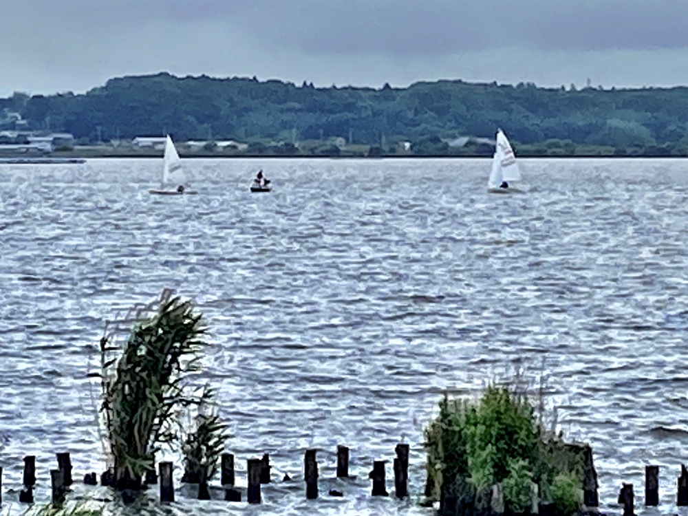 水郷土浦、トトロ探して水辺ランの写真4
