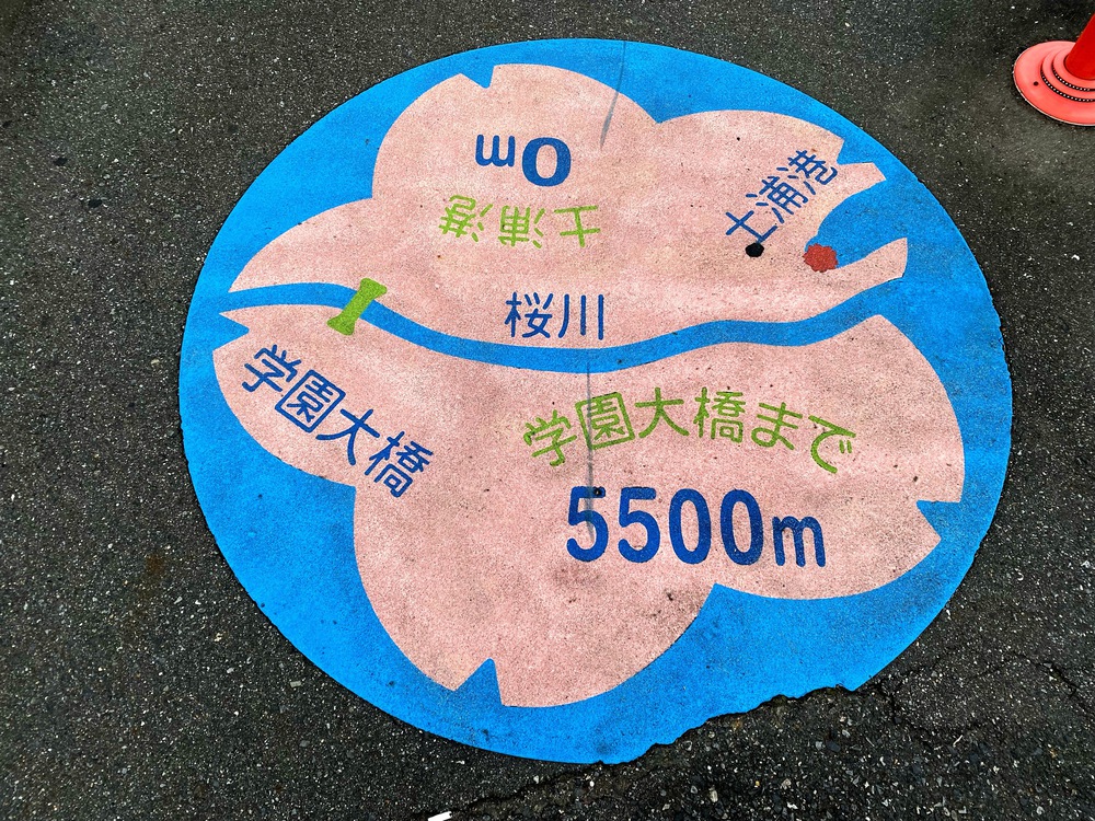 水郷土浦、トトロ探して水辺ランの写真5