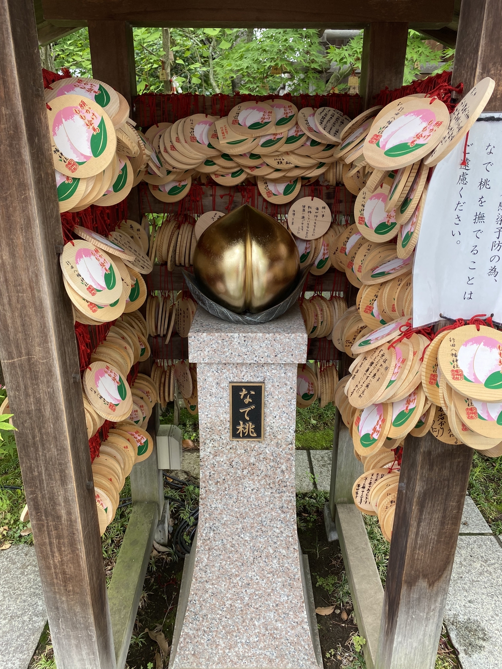 彩北巡りマラニック②（行田〜熊谷編）の写真6