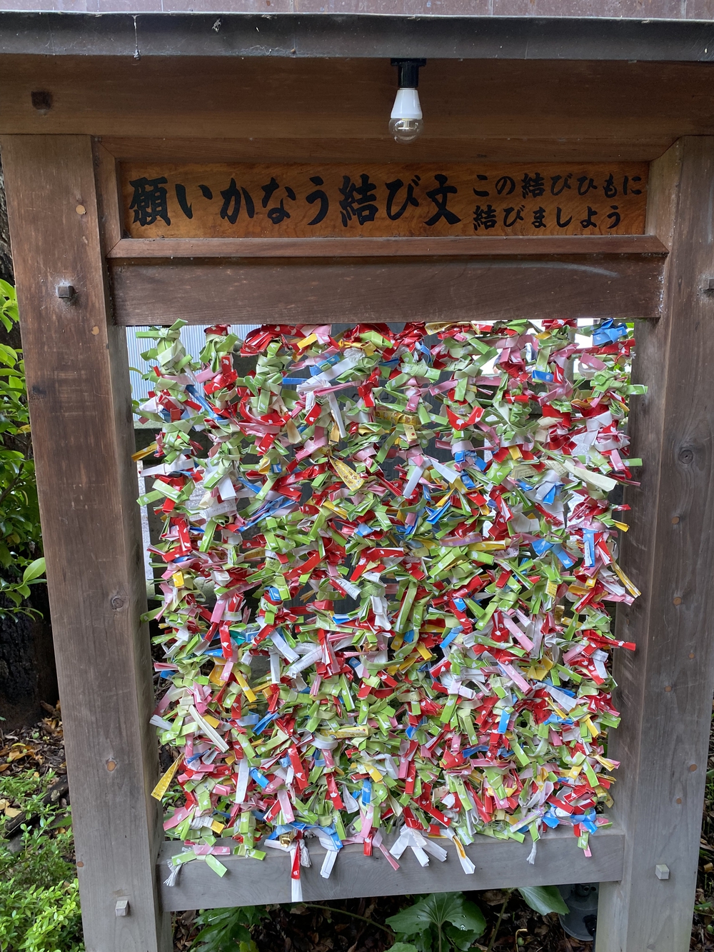 彩北巡りマラニック②（行田〜熊谷編）の写真8