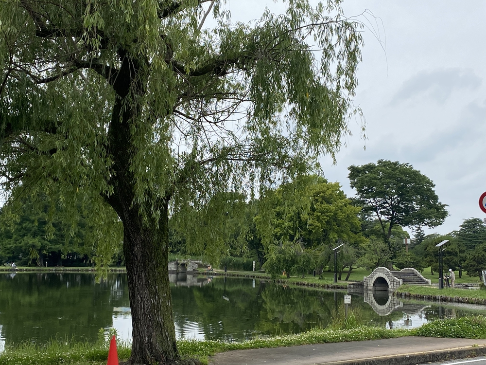 彩北巡りマラニック②（行田〜熊谷編）の写真19