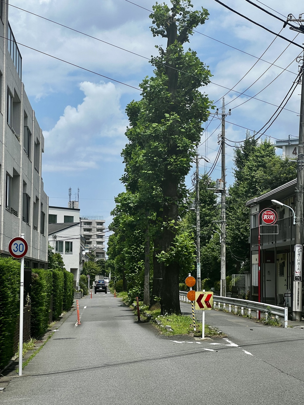 荒玉水道 〜 曲がったことは大キライな方への写真5