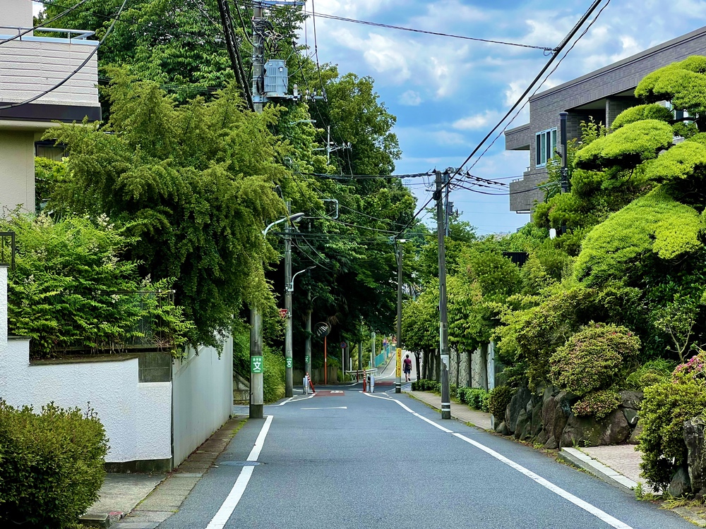 荒玉水道 〜 曲がったことは大キライな方への写真6