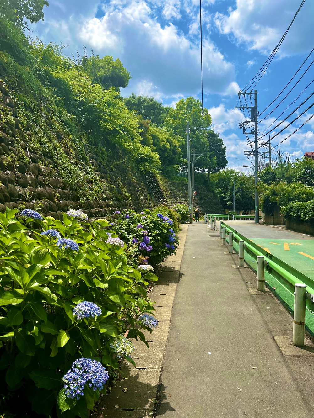 荒玉水道 〜 曲がったことは大キライな方への写真7
