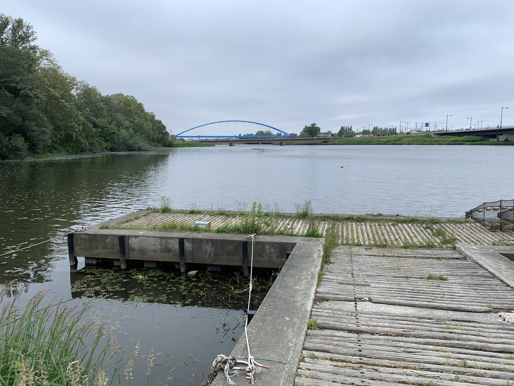 帰省ラン：札幌／手稲〜発寒川〜旧石狩川（茨戸）〜大友堀（創成川）〜札幌駅の写真10