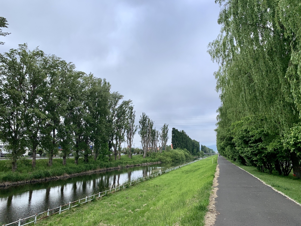 帰省ラン：札幌／手稲〜発寒川〜旧石狩川（茨戸）〜大友堀（創成川）〜札幌駅の写真13