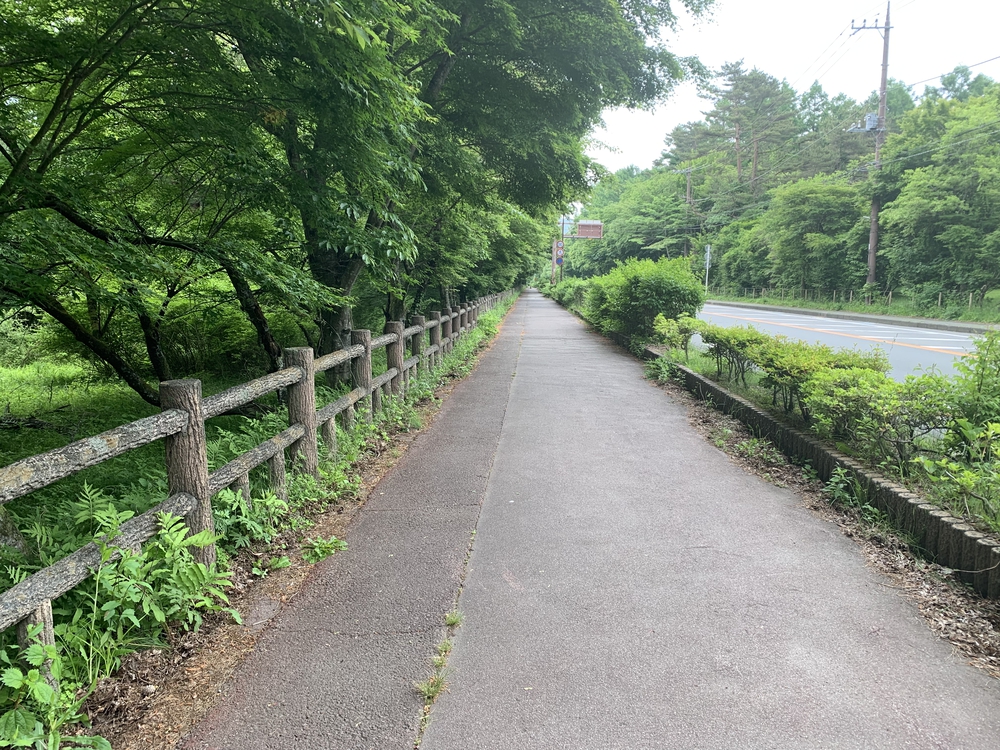 山中湖 周回 梅雨空だけど･･･の写真5