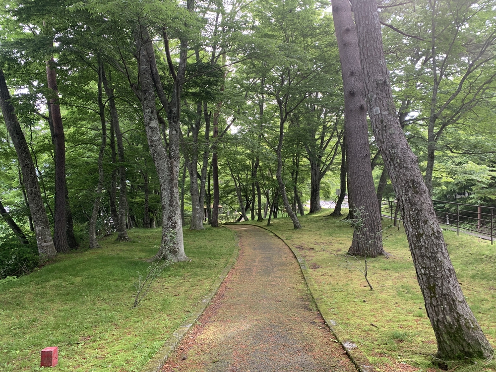 山中湖 周回 梅雨空だけど･･･の写真6
