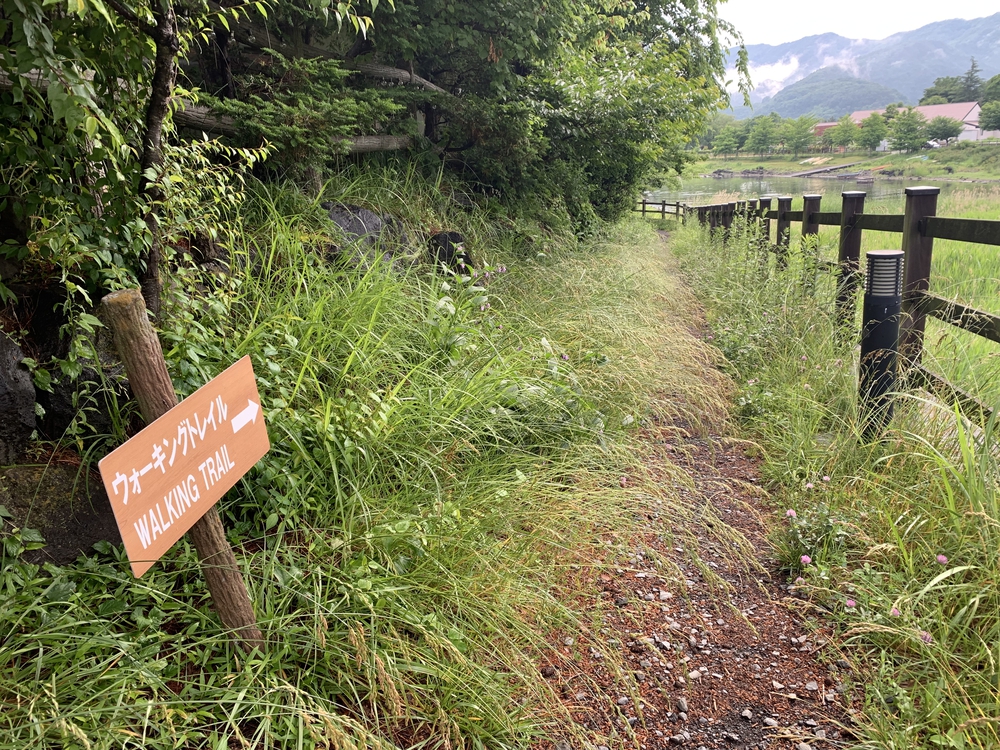 河口湖 周回 梅雨の晴れ間!!!の写真4
