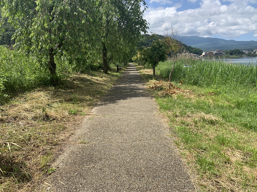 河口湖 周回 梅雨の晴れ間!!!の写真8