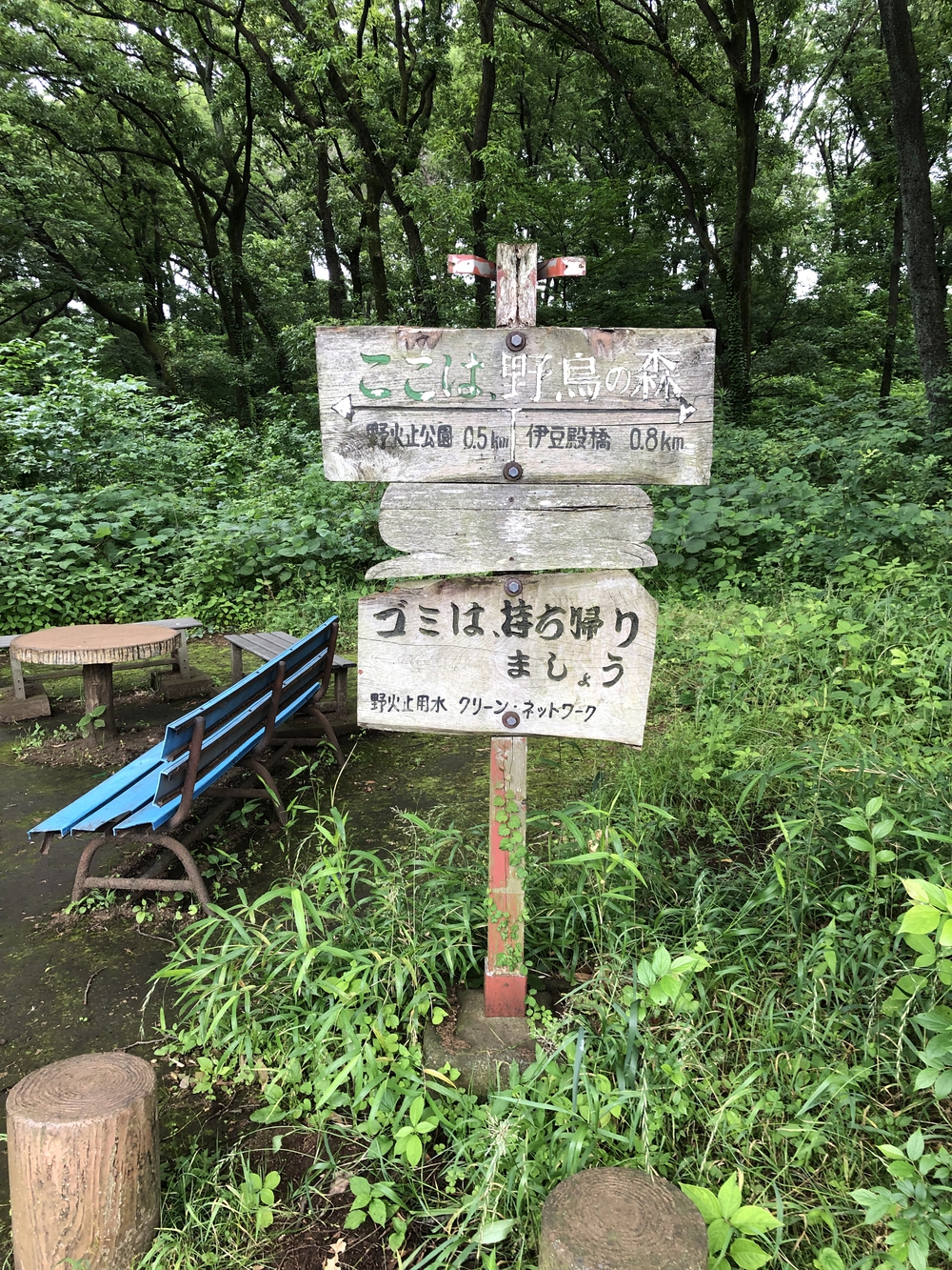 【新座ラン】新座温泉かスパジャポ起点の写真7