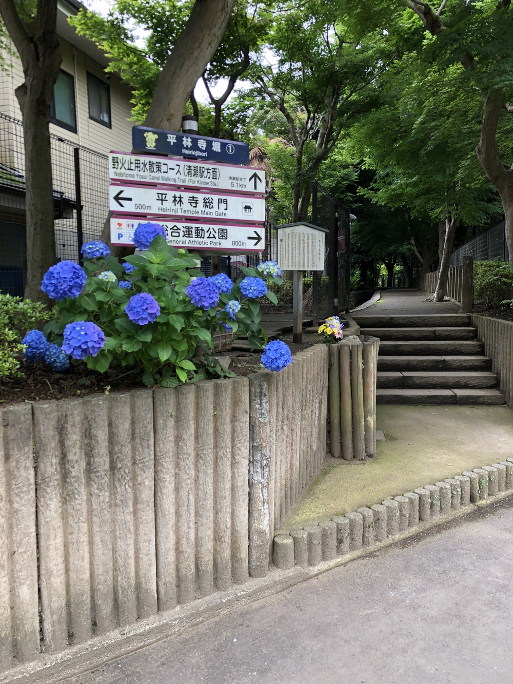 【新座ラン】新座温泉かスパジャポ起点の写真9