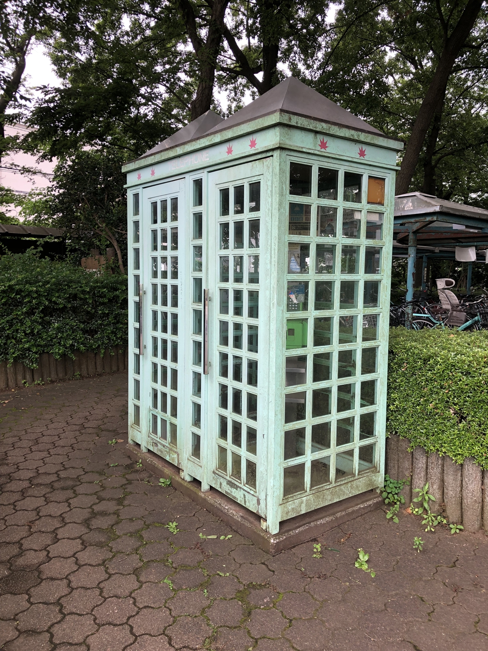 【新座ラン】新座温泉かスパジャポ起点の写真10