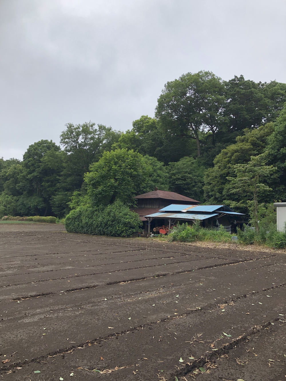 【新座ラン】新座温泉かスパジャポ起点の写真12