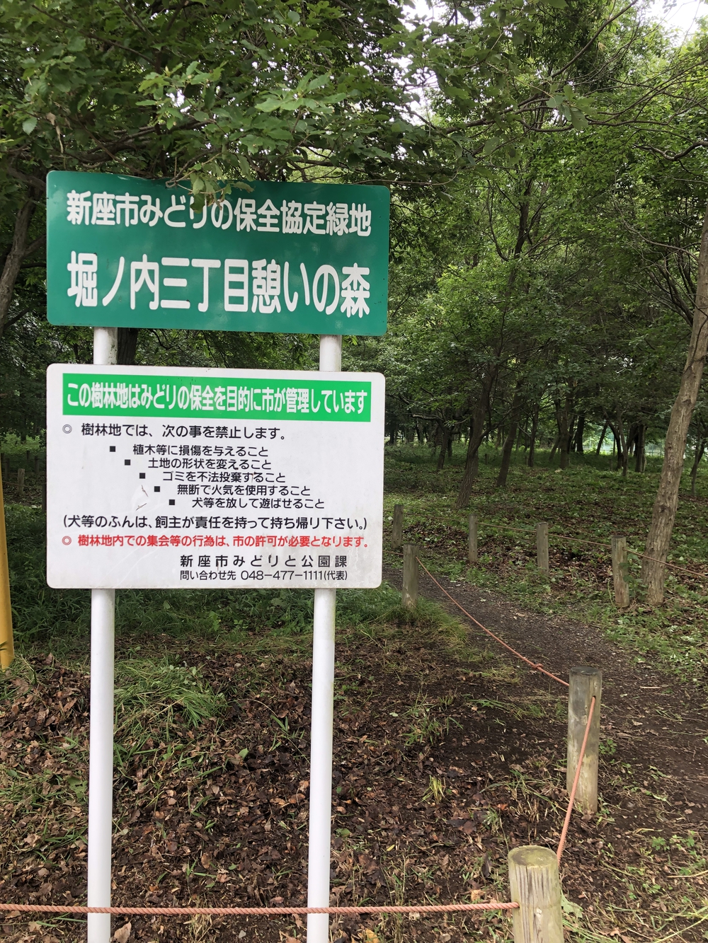 【新座ラン】新座温泉かスパジャポ起点の写真13