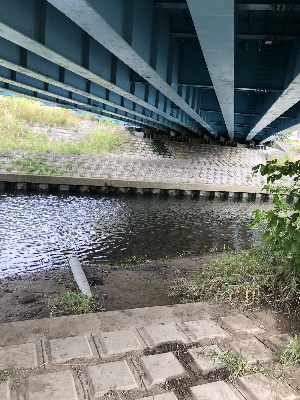 【新座ラン】新座温泉かスパジャポ起点の写真19