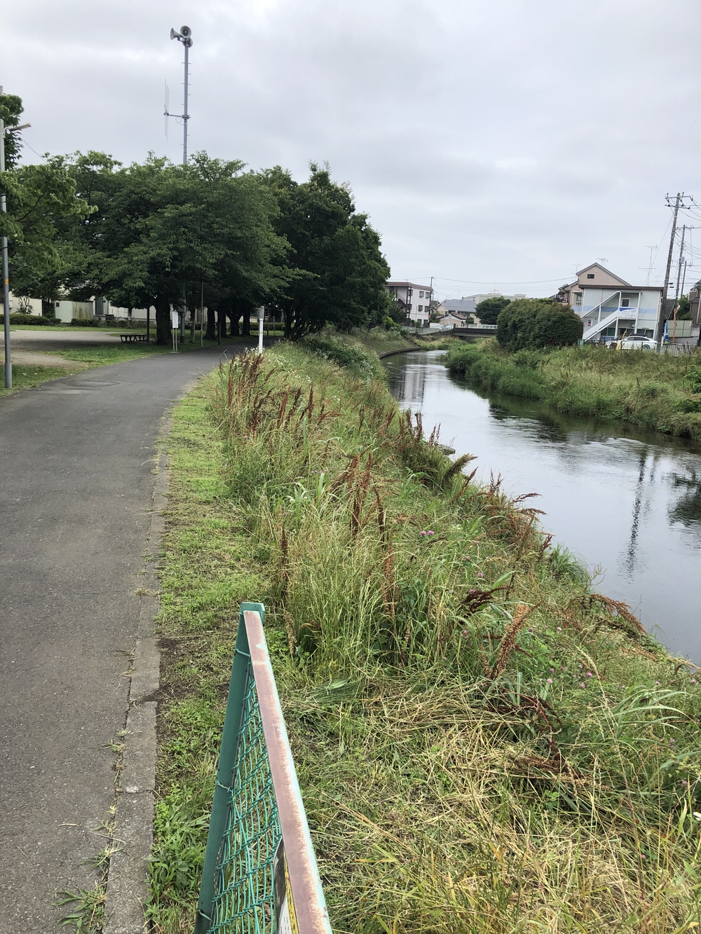 【新座ラン】新座温泉かスパジャポ起点の写真20